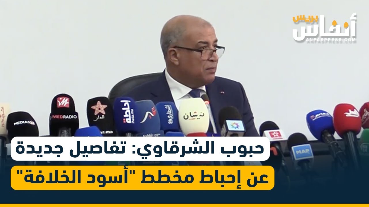 حبوب الشرقاوي يكشف معطيات جديدة عن  إحباط البسيج لمخططات خلية  