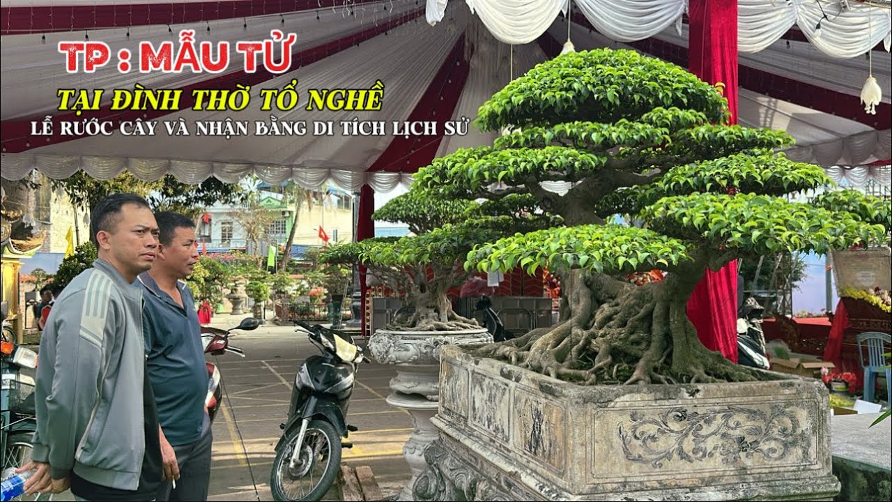 TP ; MẪU TỬ. TLSVC VỊ KHÊ đón nhận bằng di tích lịch sử, từ 12-18 thsbgs Giêng Âm Lịch | Quảng Tùng