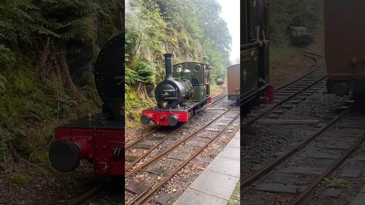 A cranky Dolgoch runs round the train - 17/07/25 #steamtrain #talyllyn #train