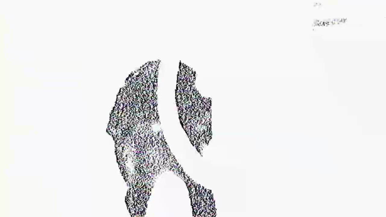 Bandit Freestyle - Blanco23 