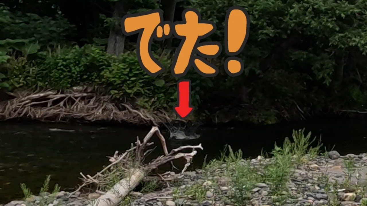 さんざんミノーで探った直後、蝉ルアーに特大が出た！！