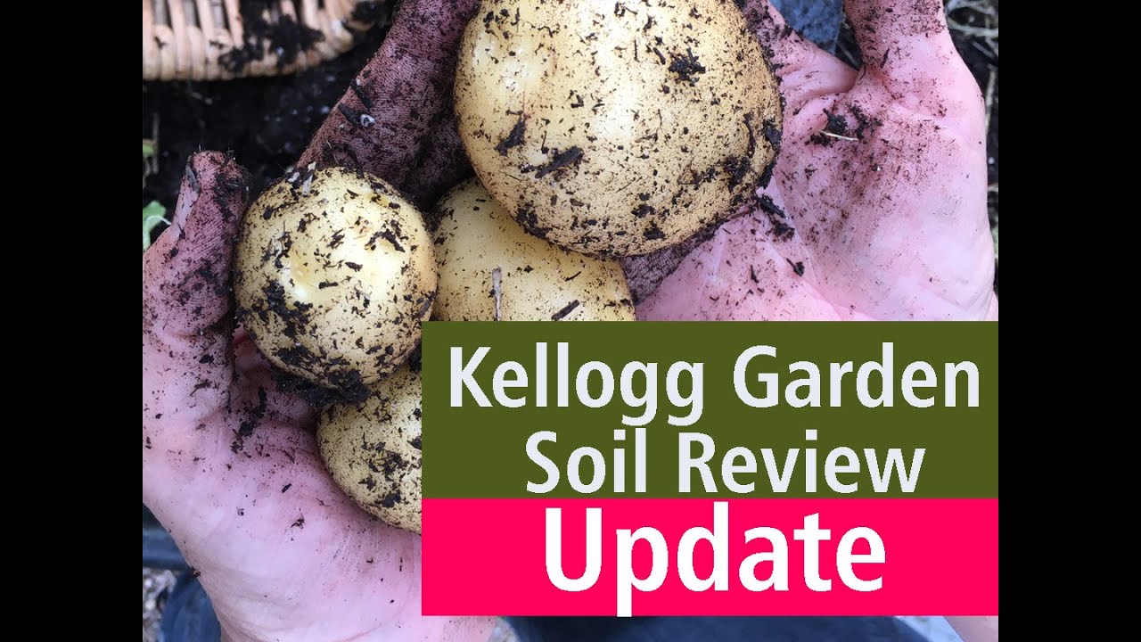 Update Review of Kellogg Garden Organics Raised Bed