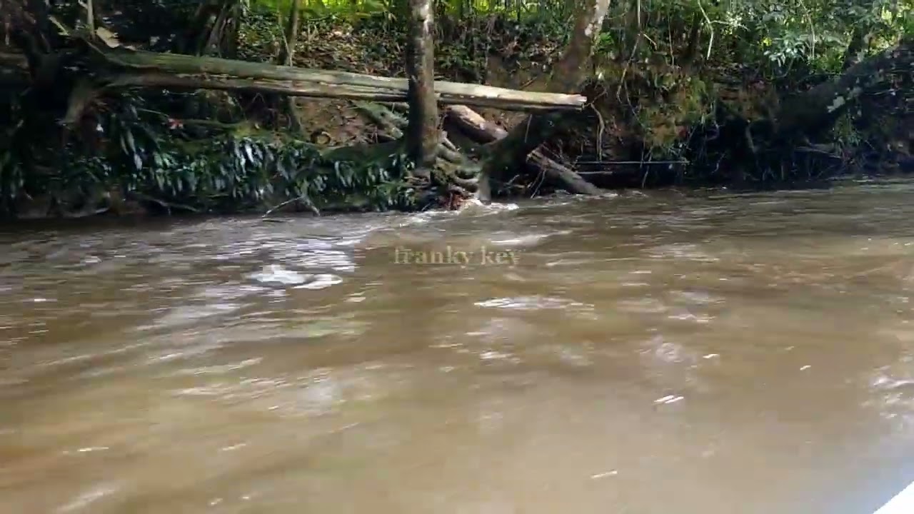 Pantun Iban Sinu Ngenang