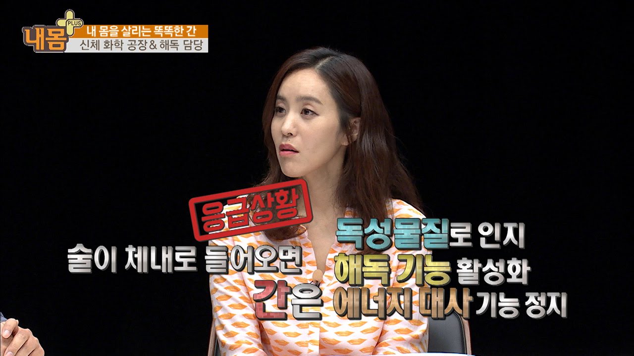 술독 오른 간, 독을 빼야 한다?![내 몸 플러스] 12회 20160626