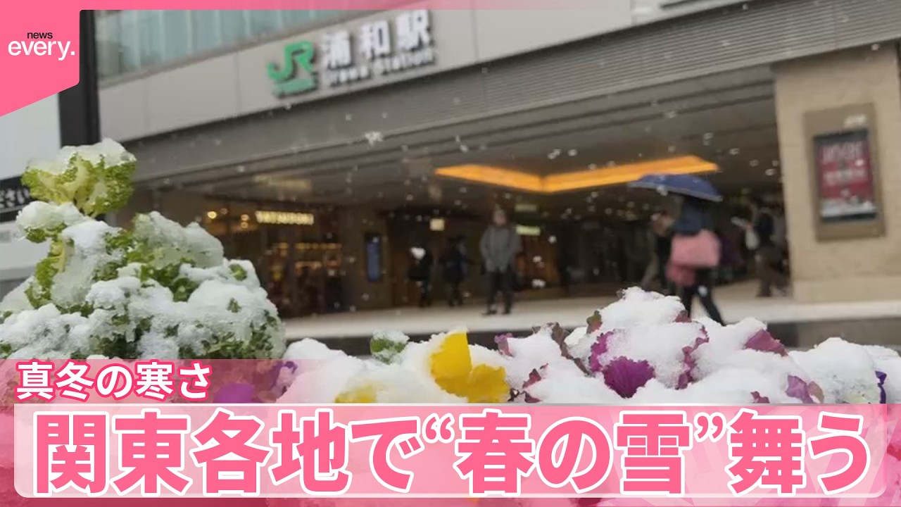 【季節外れの雪】関東各地で“春の雪”舞う  真冬の寒さで珍しい光景も