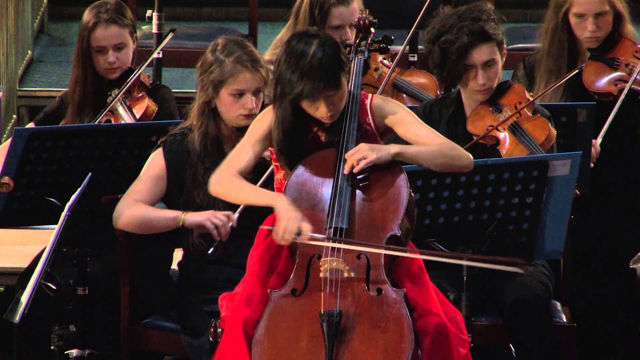 Edinburgh Youth Orchestra Chamber Orchestra Summer Concert 2015