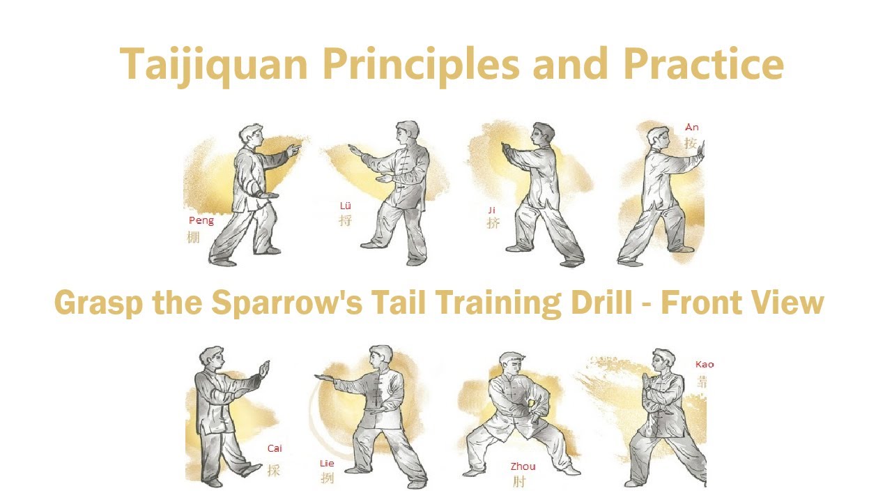 Grasp the Sparrow's Tail Training Drill - Front View