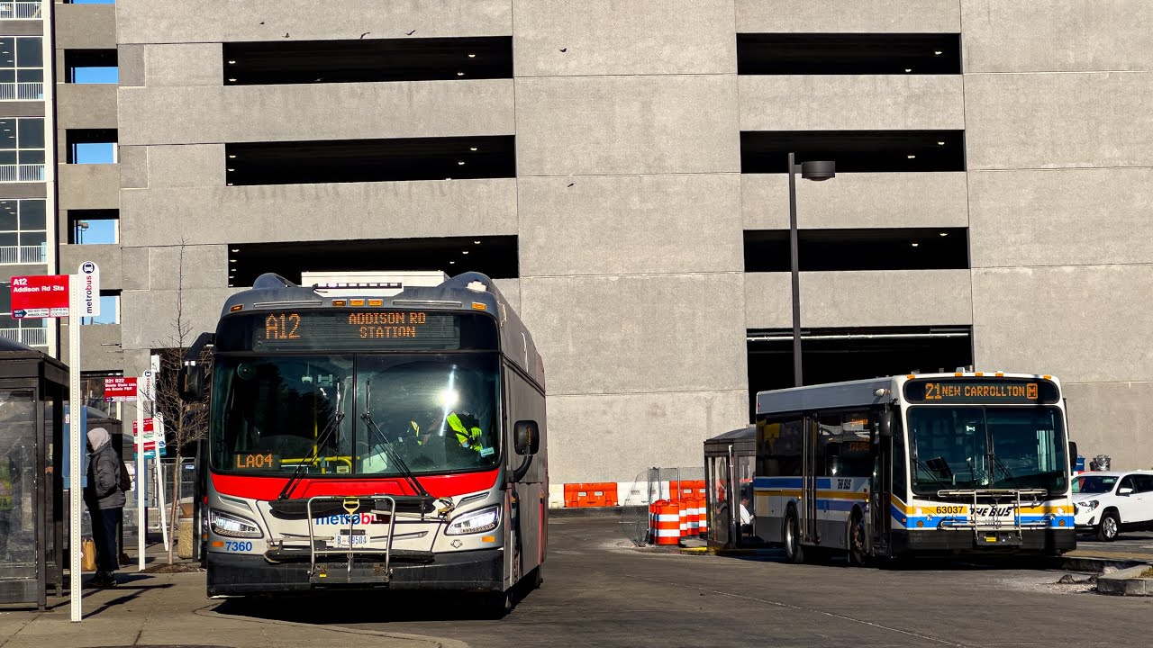 WMATA Metrobus & Prince George's County Transit TheBus Compilation at New Carrollton #3