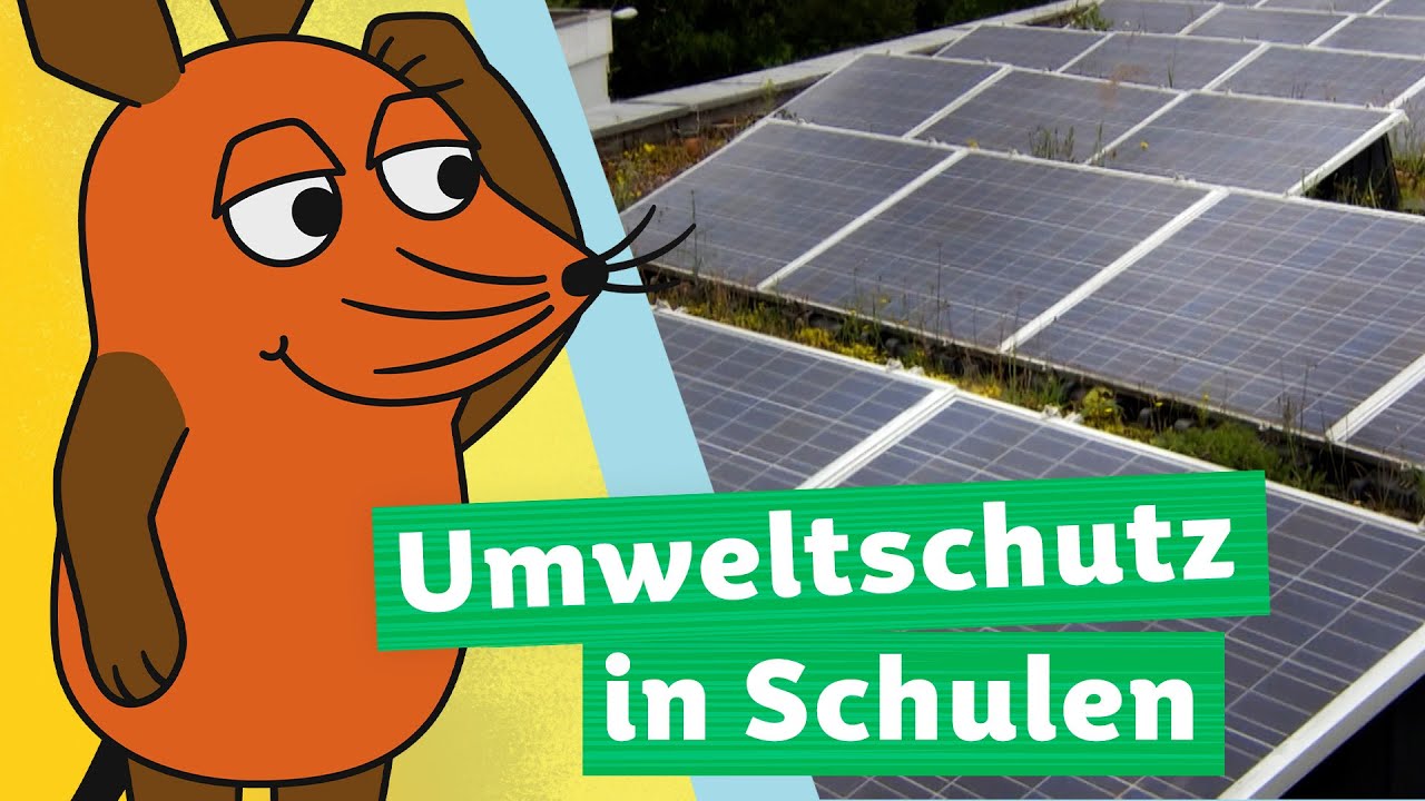 Wie kann eine Schule Energie sparen?  | Die Maus | WDR