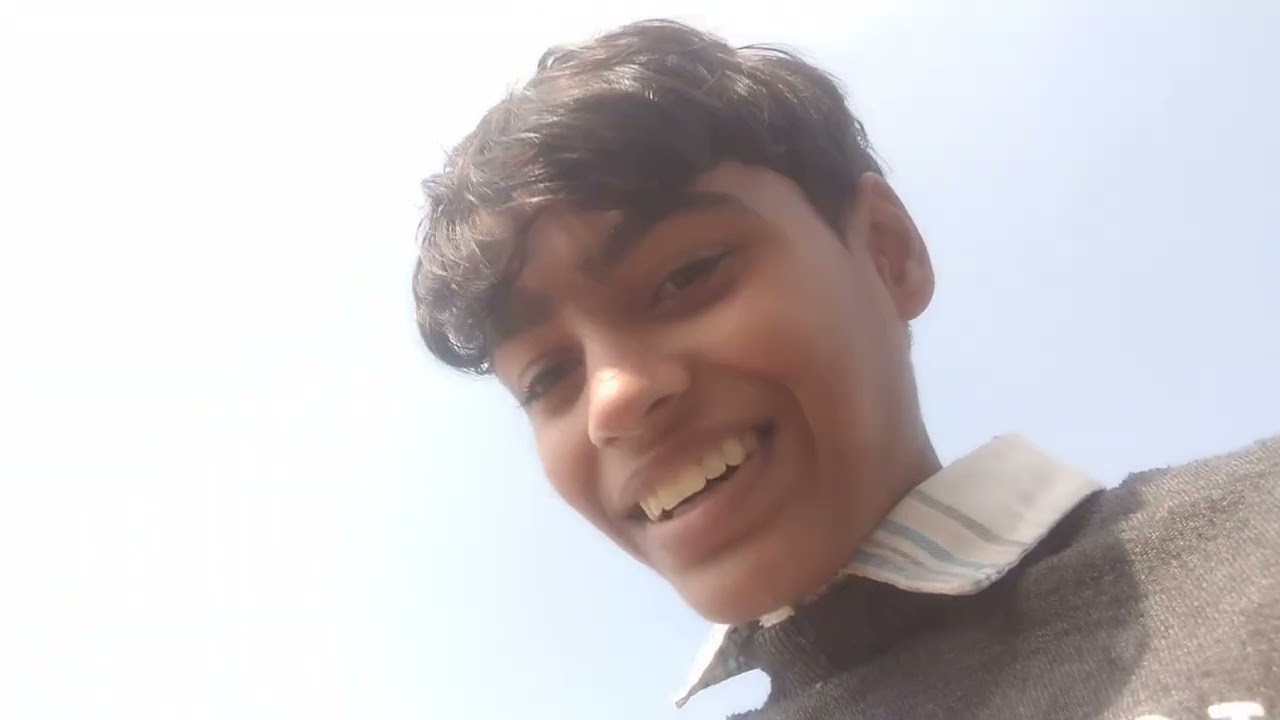 Dogs main hui ladai 😂