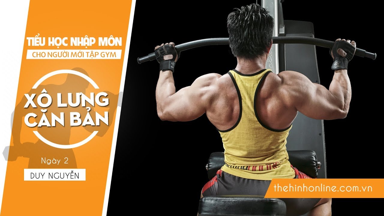 Hướng dẫn tập GYM xô lưng căn bản cho gymer mới | THNM
