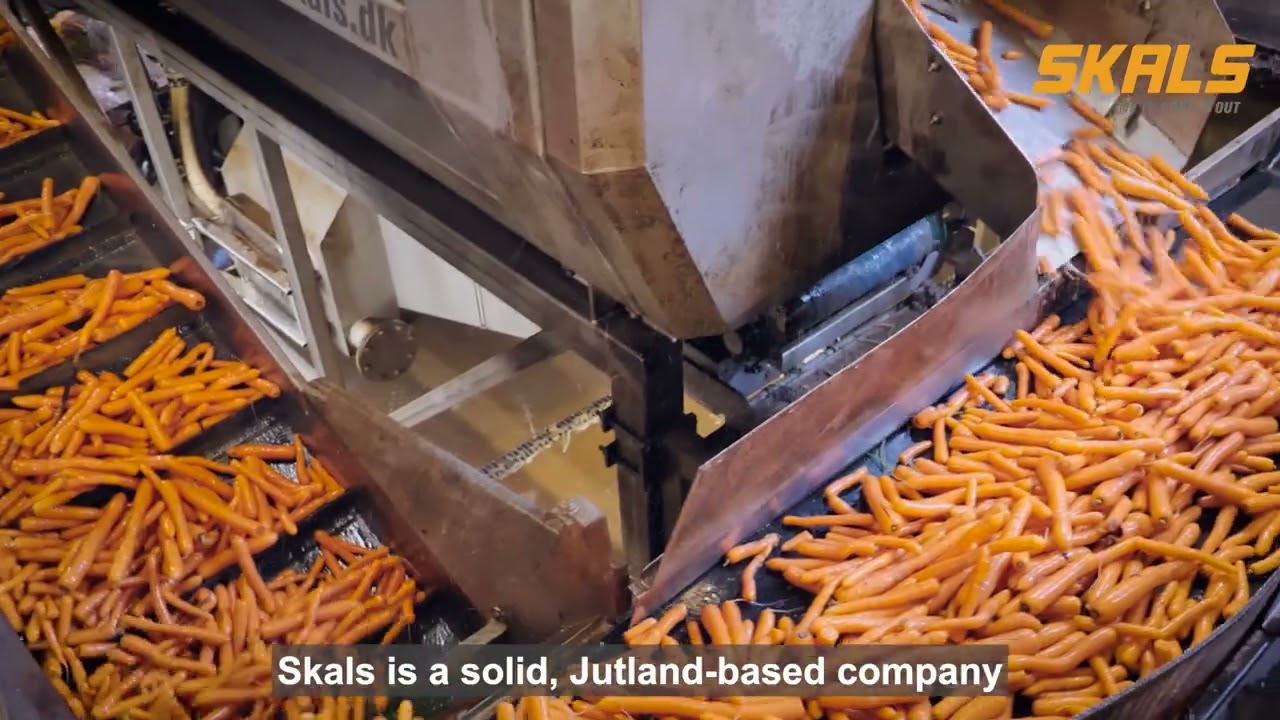 Skals Machinery – Carrot Polishing Equipment