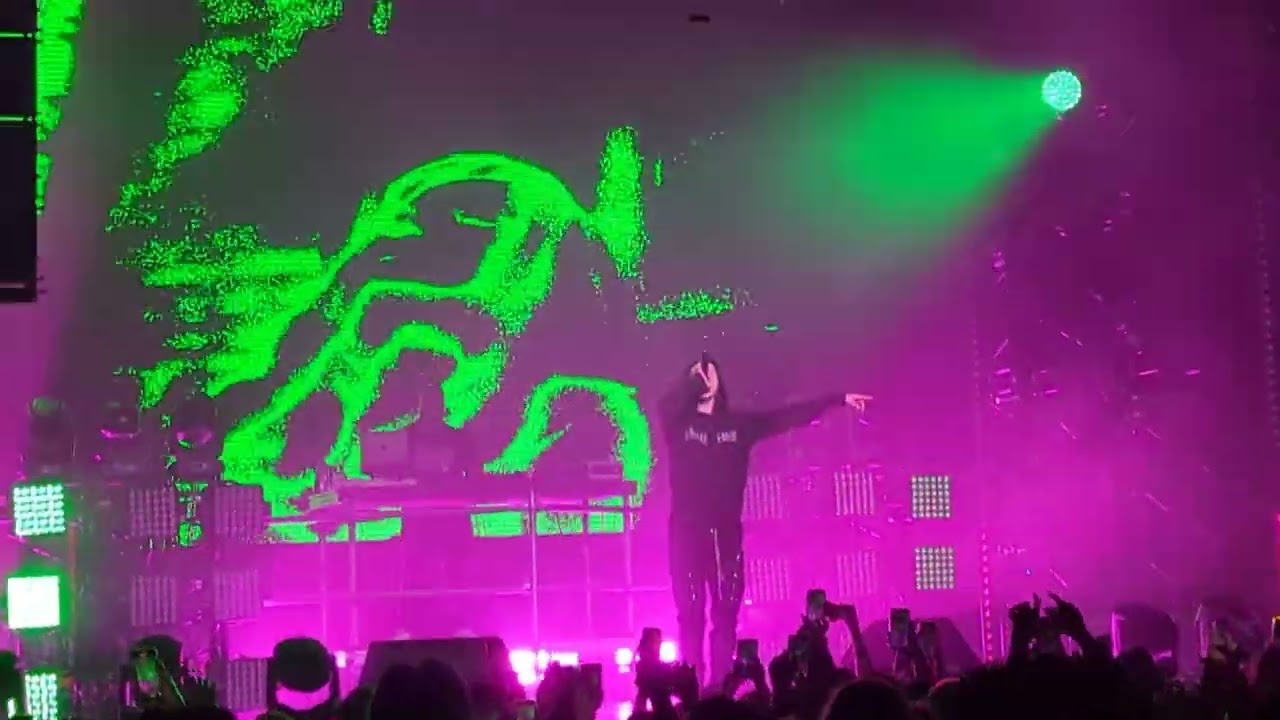 Heronwater & BUSHIDO ZHO — Соло (Live с концерта в Санкт-Петербурге 08.12.2023)