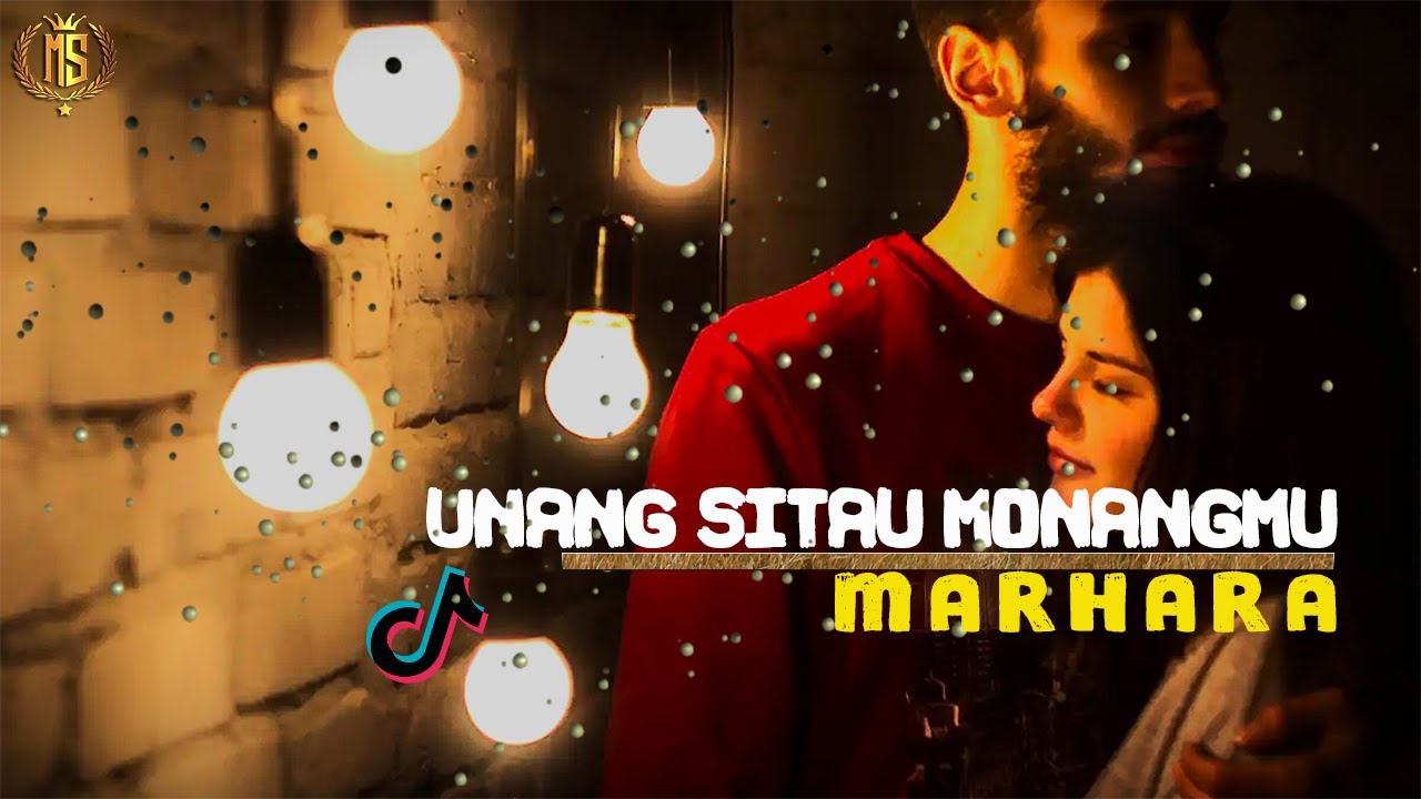 UNANG SITAU MONANG || LIRIK & ARTINYA || LAGU POP BATAK