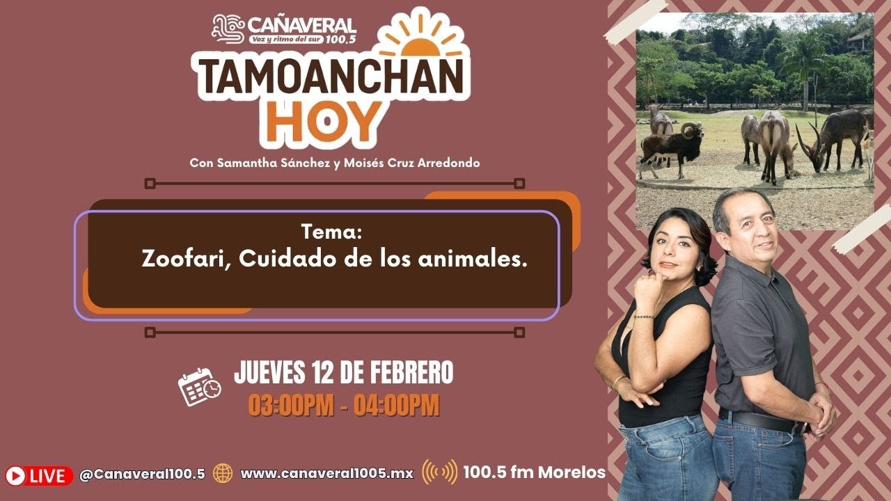 #TamoanchanHoy - 12|02|2026