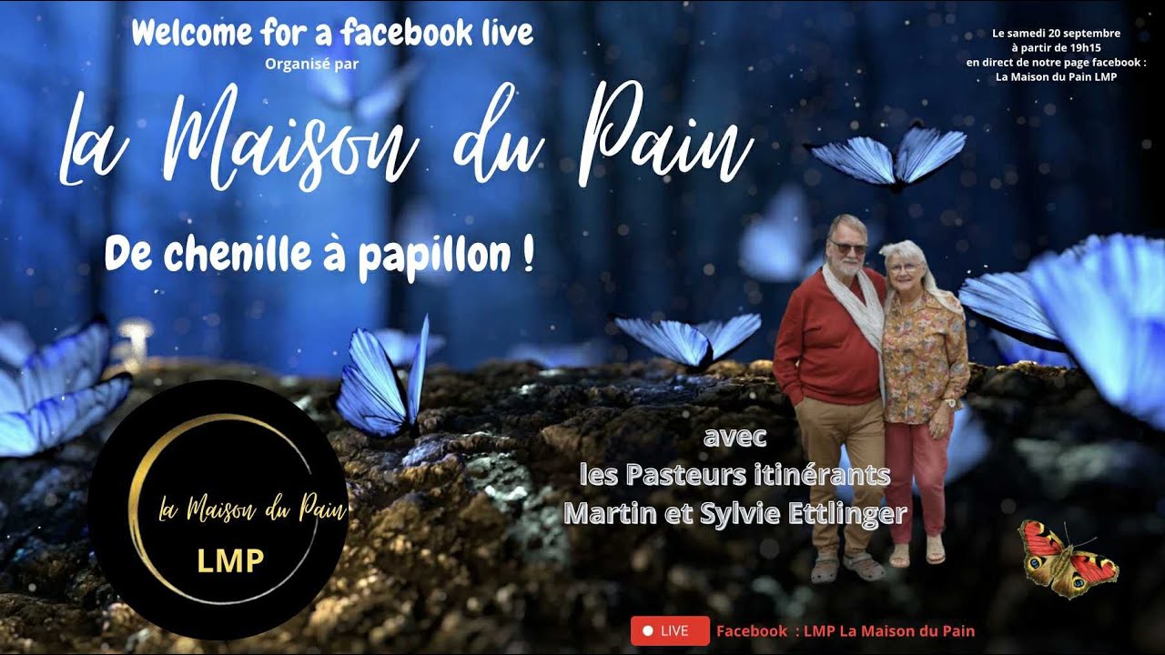 De chenille à papillon