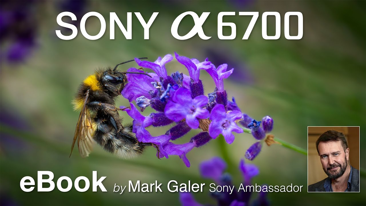 Sony A6700 Camera Setup eBook