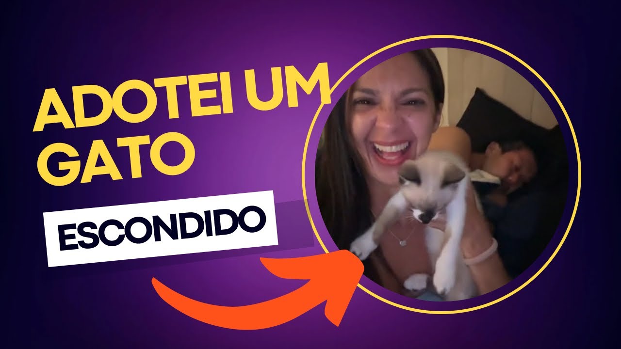Adotei um gato escondido do meu marido!