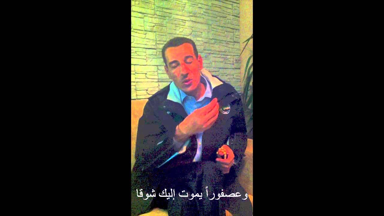 قصيدة دمشق - الشاعر السوري ياسر الأطرش - مختارات ميس من مهرجان بغداد