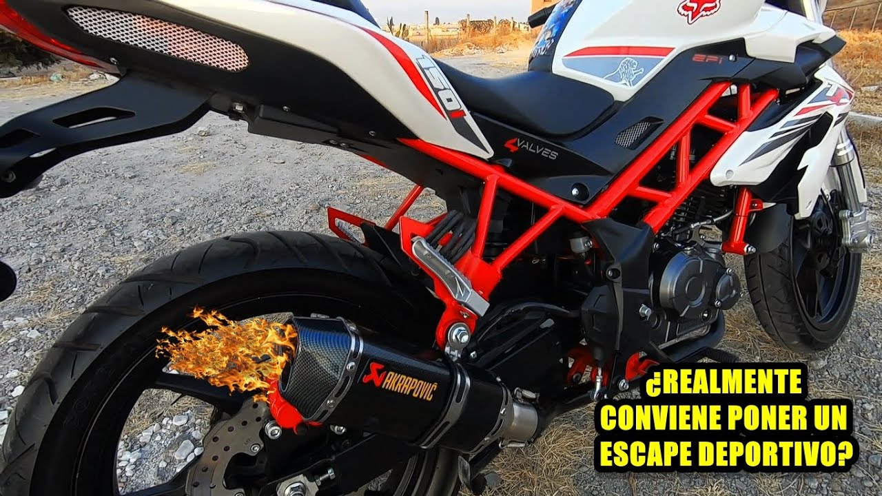 Así suena una BENELLI con Escape Deportivo Akrapovic (replica) 🔊