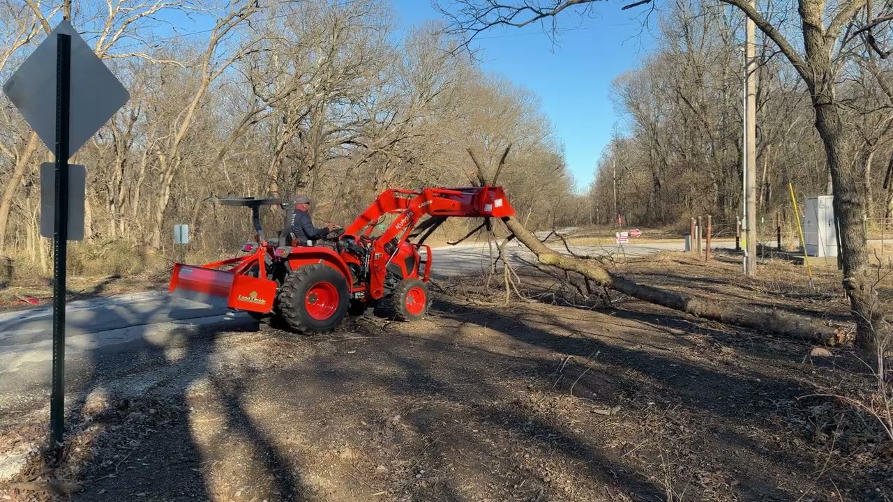 Last tree coming down 