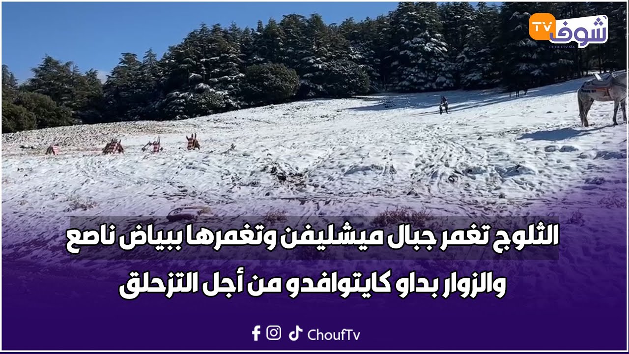 من إقليم إفران: الثلوج تغمر جبال ميشليفن وتغمرها ببياض ناصع والزوار بداو كايتوافدو من أجل التزحلق