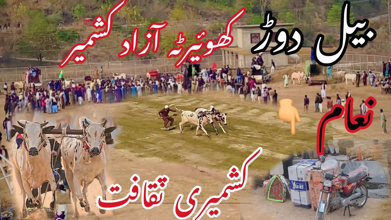 ￼Khuiratta azad kashmir mein bull race￼ ❤️Azad kashmir ka Dasi Culture | Azad kashmir ka old کلچر
