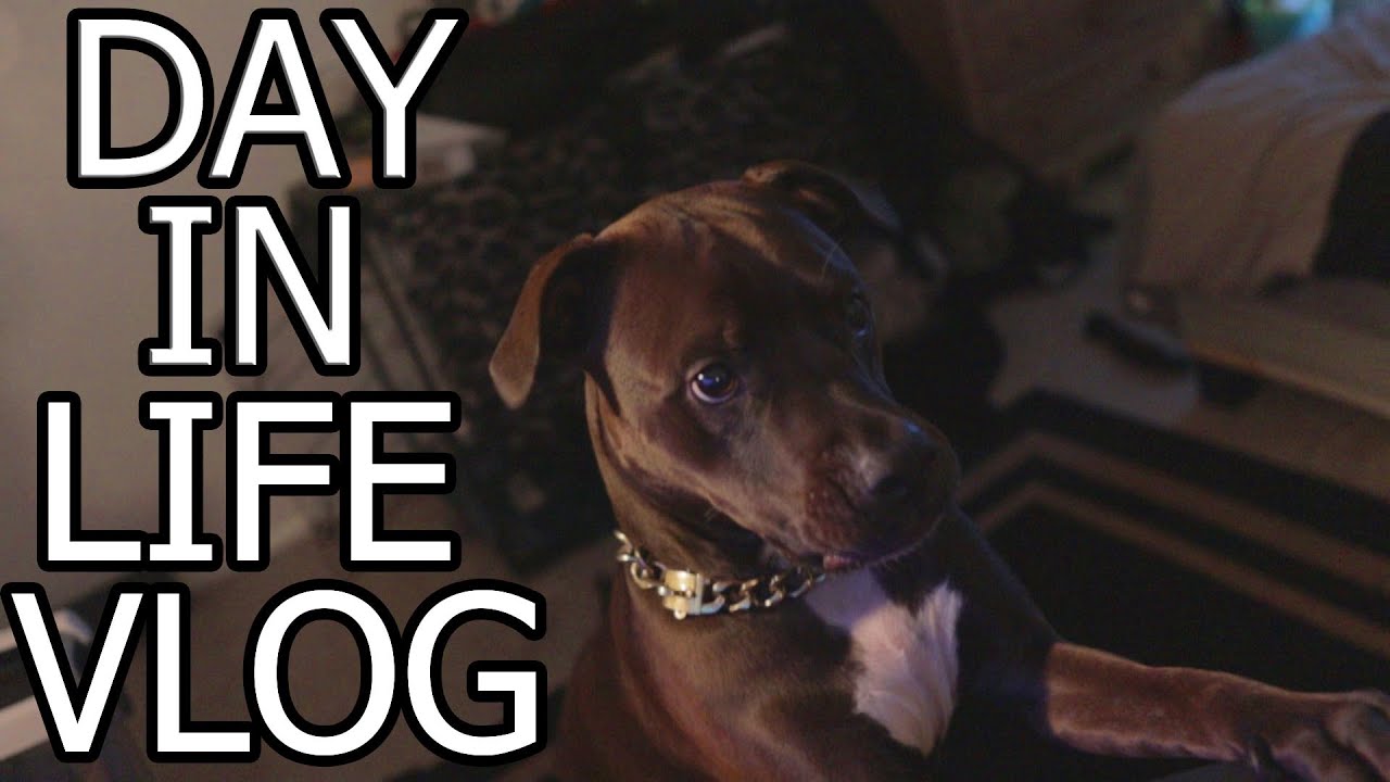WHERE HAVE WE BEEN?? | DAY IN THE LIFE VLOG