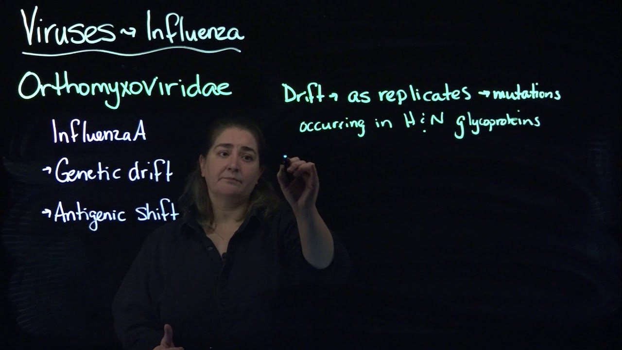 Virus drift and shift