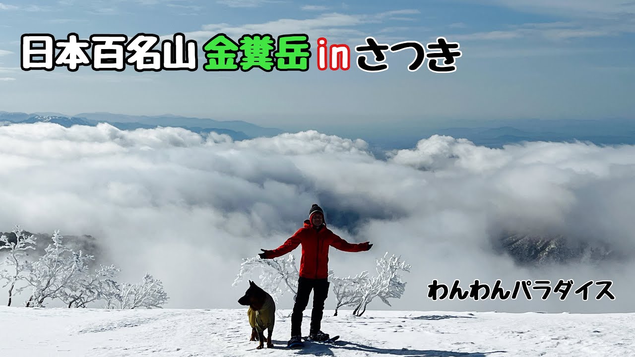 【ジャーマンシェパード】厳冬期登山 日本百名山 金糞岳 犬と雪山で1泊