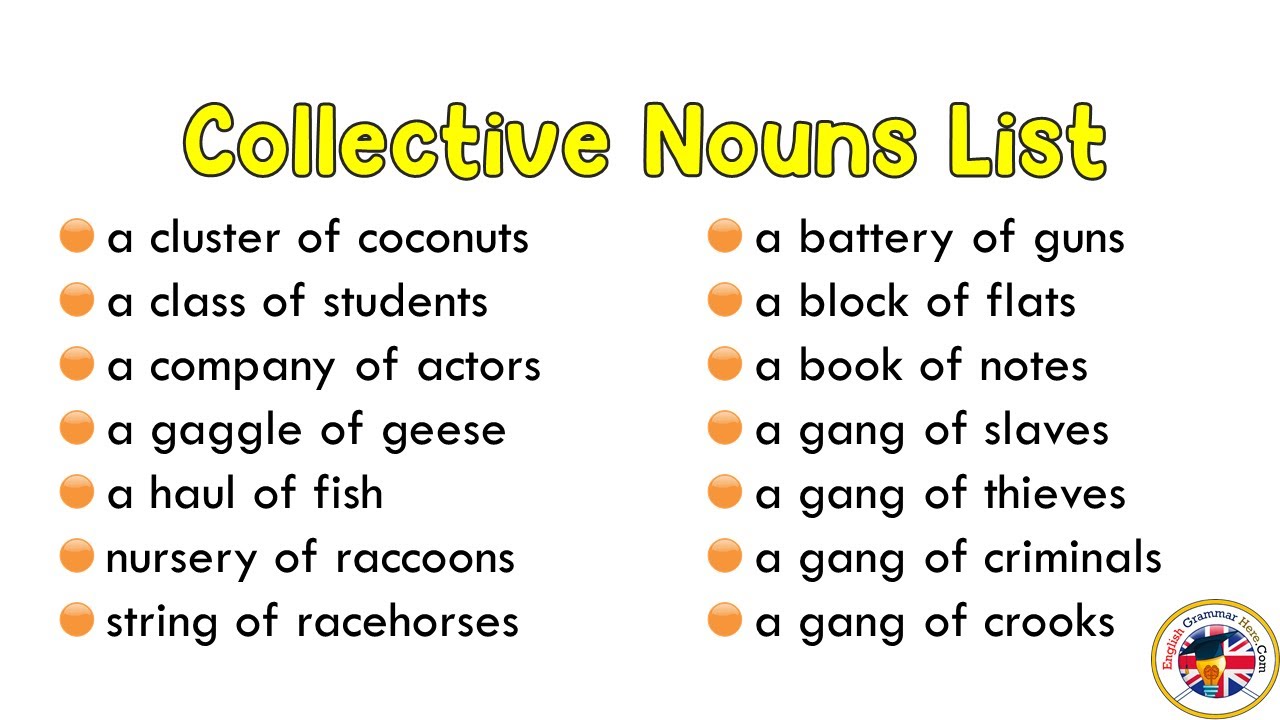 What is Collective Noun? List of Collective Nouns Examples