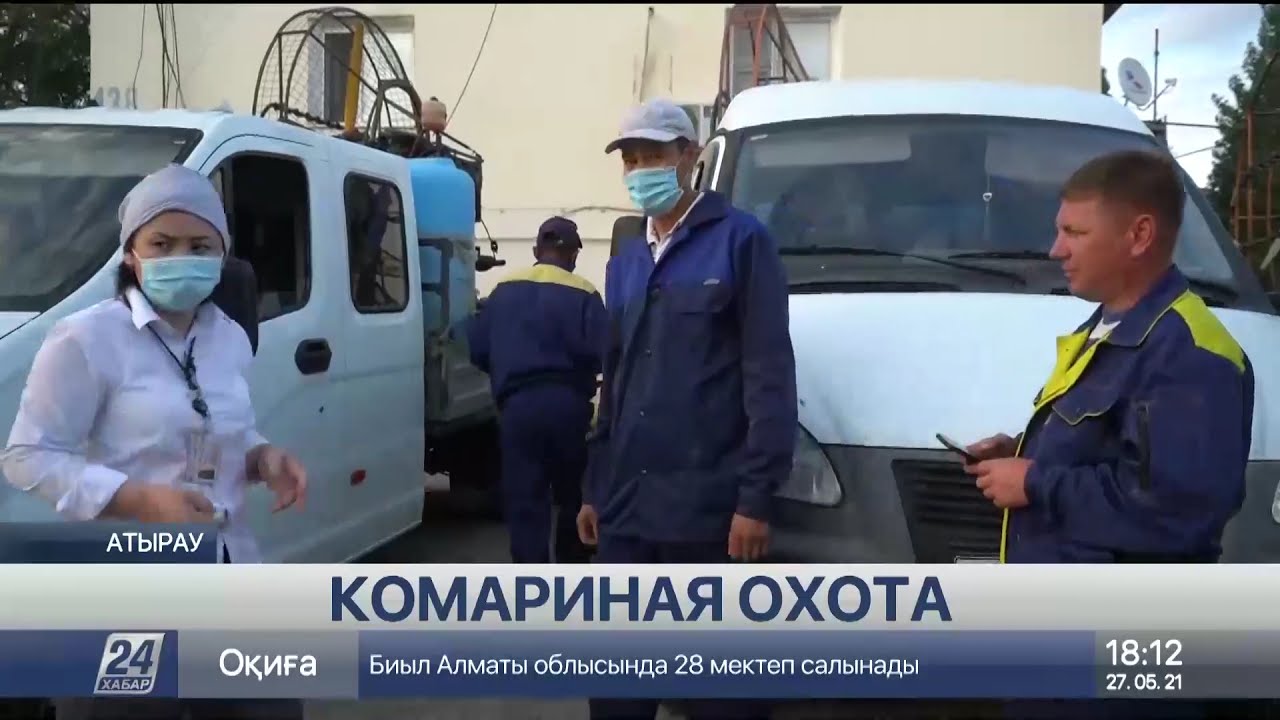 Комары стали настоящей достопримечательностью Атырау