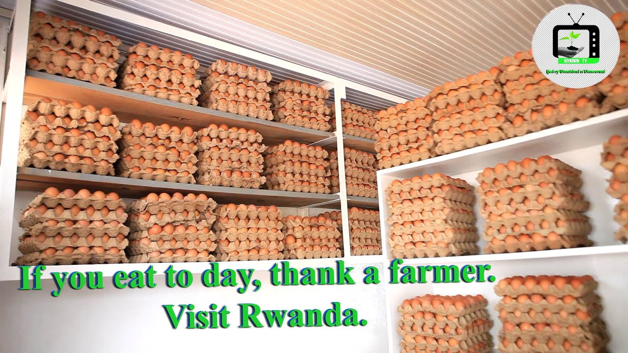 Umworozi w'inkoko akaba n'umucurizi w'amagi Innocent, kuba aba muri #RYAF byamugejeje kuri byinshi