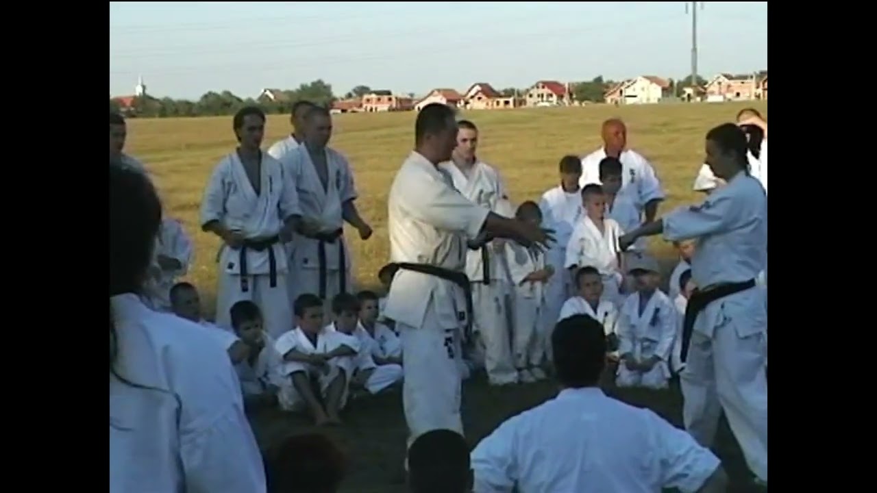 Shihan Tokujun Ishi in Romania, 2007 - part II