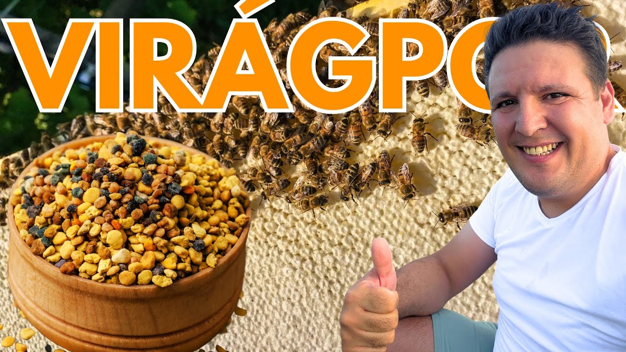 Virágpor begyűjtése a méhészetben
