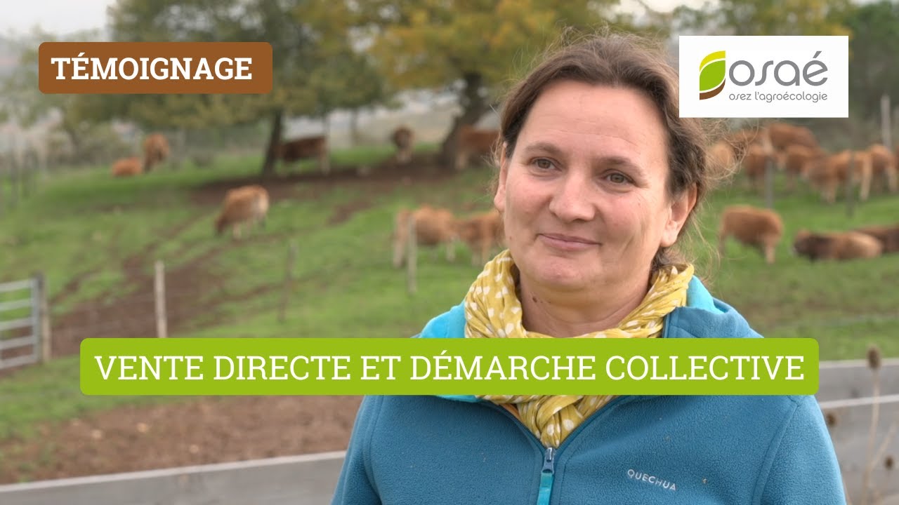 GAEC de Bergnes : vente directe et démarche collective