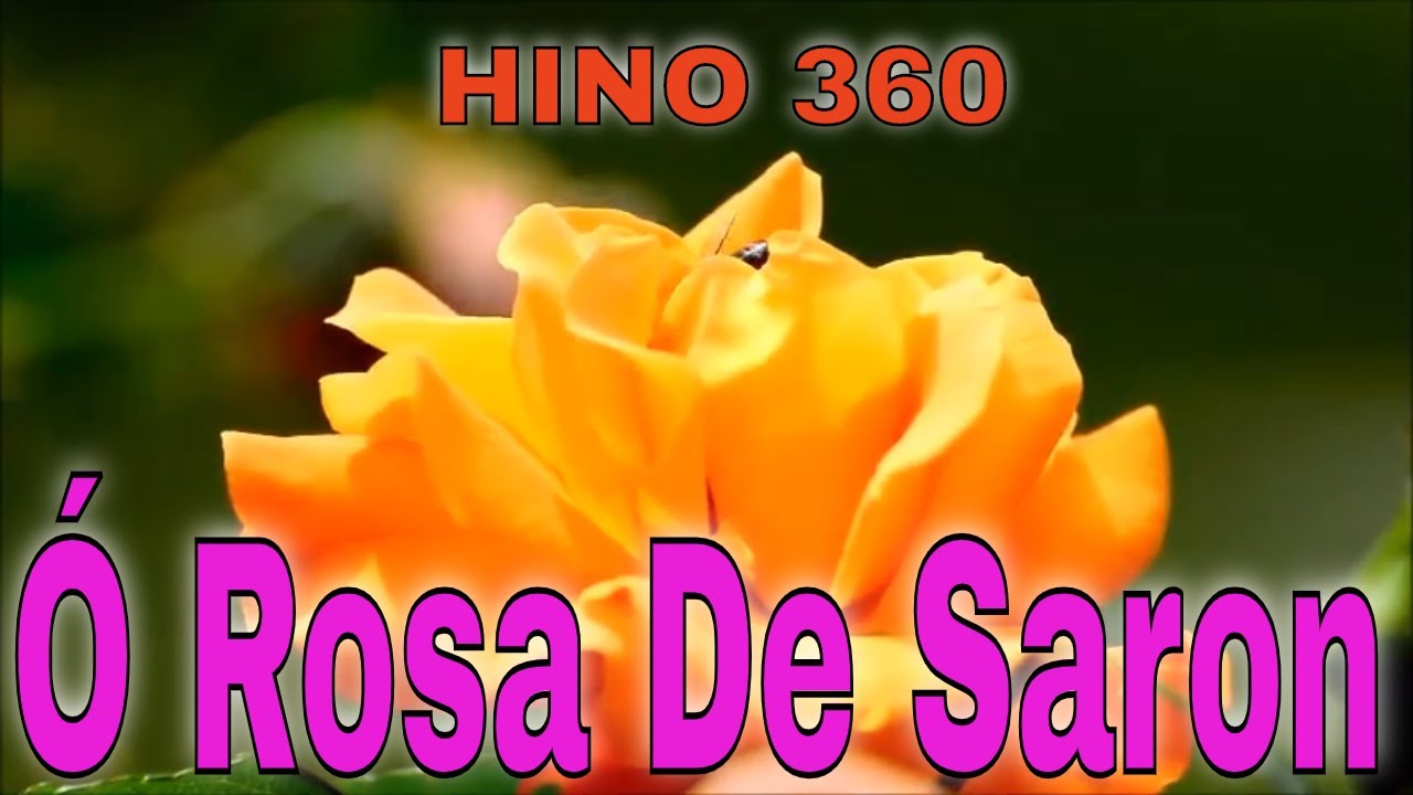 Louvores CCB  Hino 360 Ó Rosa De Saron