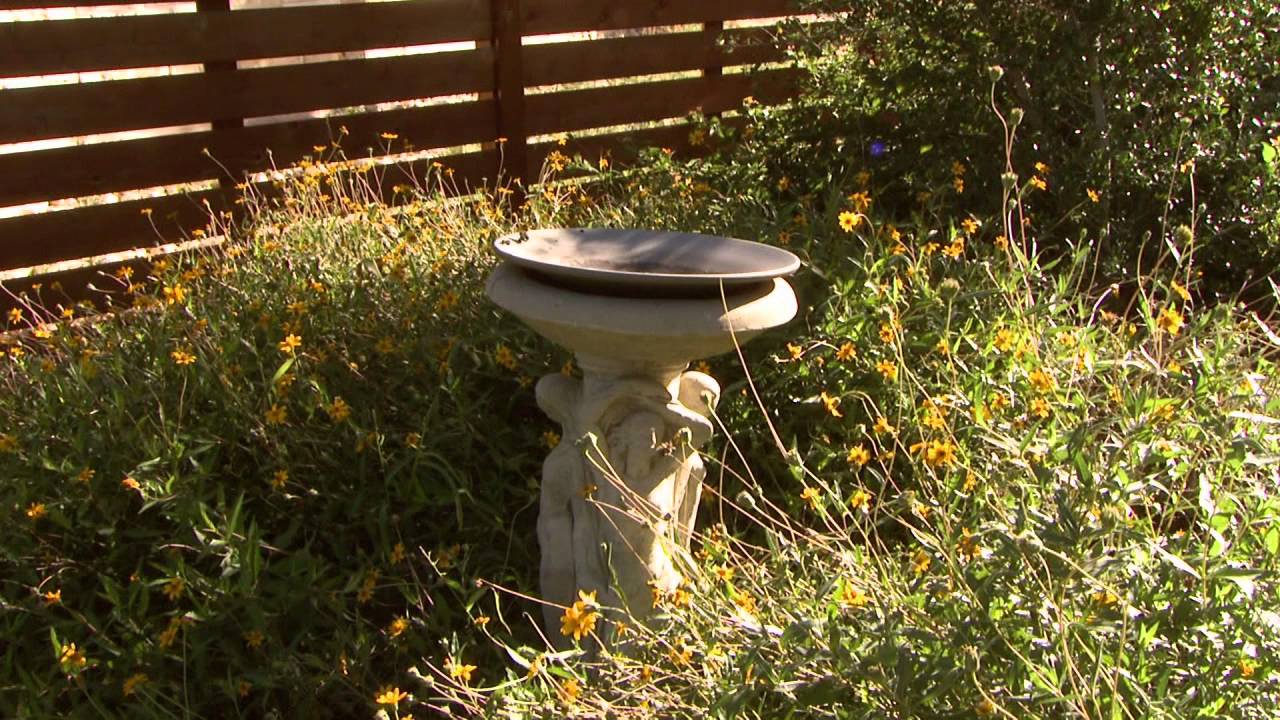 Wildlife, Waterwise Garden on Many Levels |Annie Gillespie and Rachael Beavers designers