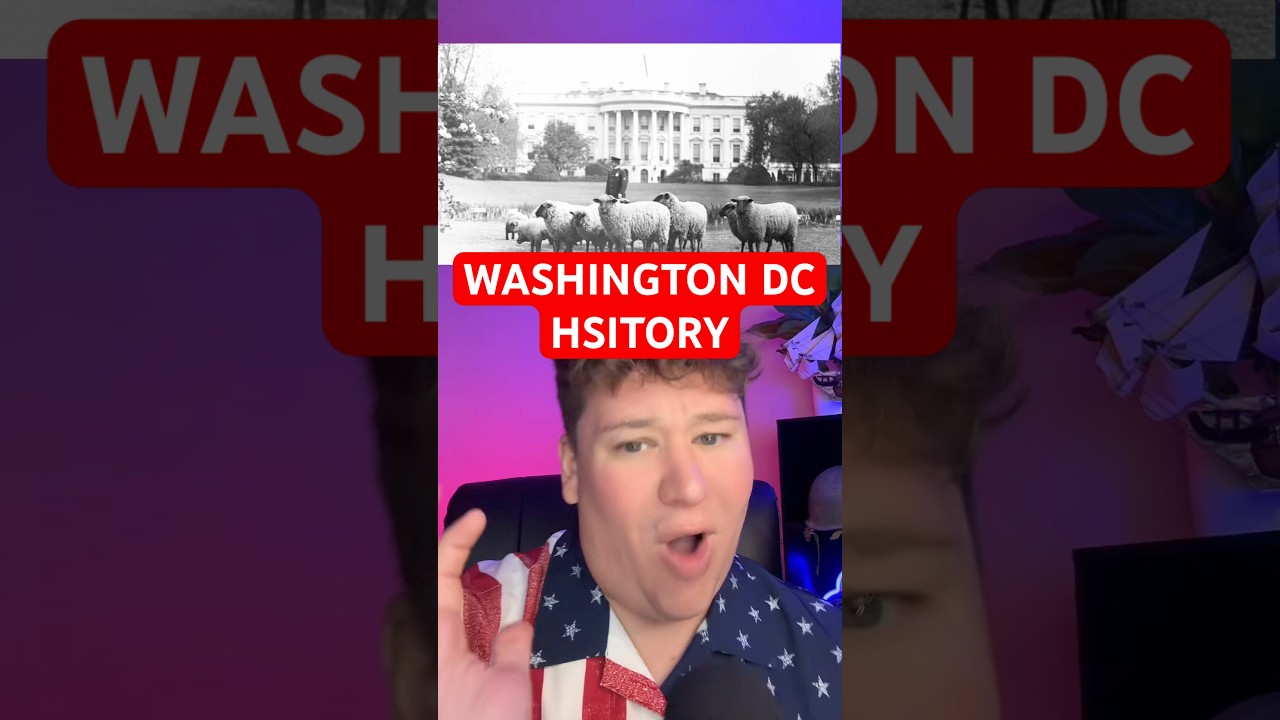 ИСТОРИЯ ВАШИНГТОНА, ОКРУГ КОЛУМБИЯ #история #исторический #сша #фактыобистории #вашингтон #америк...