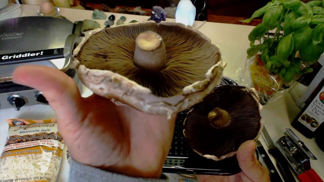ASMR Free Spirit Grills Stuffed Mushrooms and Asparagus For YOU! (just kidding, I ate it all)