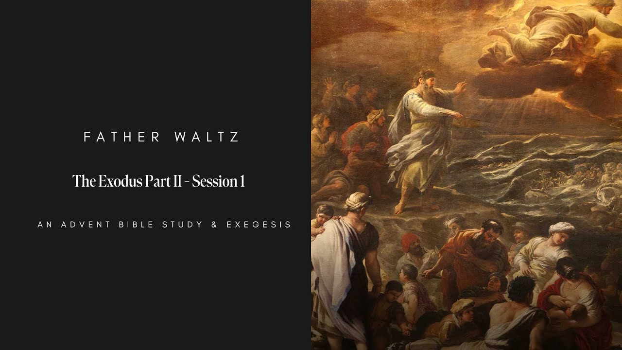 The Exodus Part II | Advent Bible Study & Exegesis with Father Waltz | Session 1