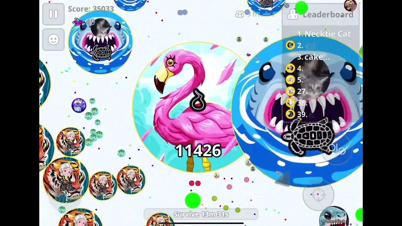 【Agario Mobile】声ありで鯖取り動画❗️※気狂い注意　withチャンclan