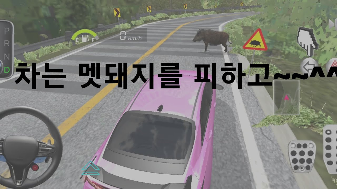 깊은 산길에 멧돼지 출몰 