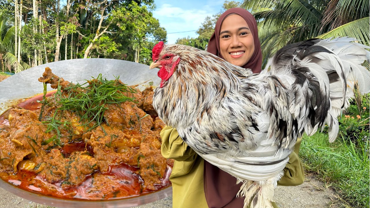 AYAM  RM600 SEEKOR !!!! ROZEK BUAT RENDANG 😮