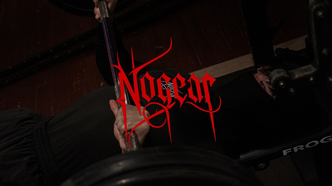 노기어 (NOGEAR) 