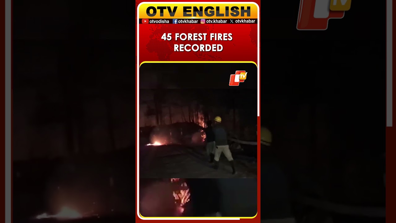 45 Forest Fire Incidents Recorded In Rajouri J&K