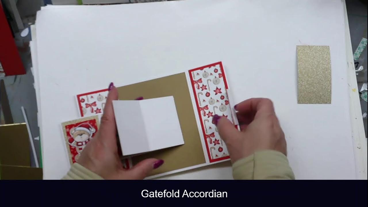 NEW Gatefold Accordian Card