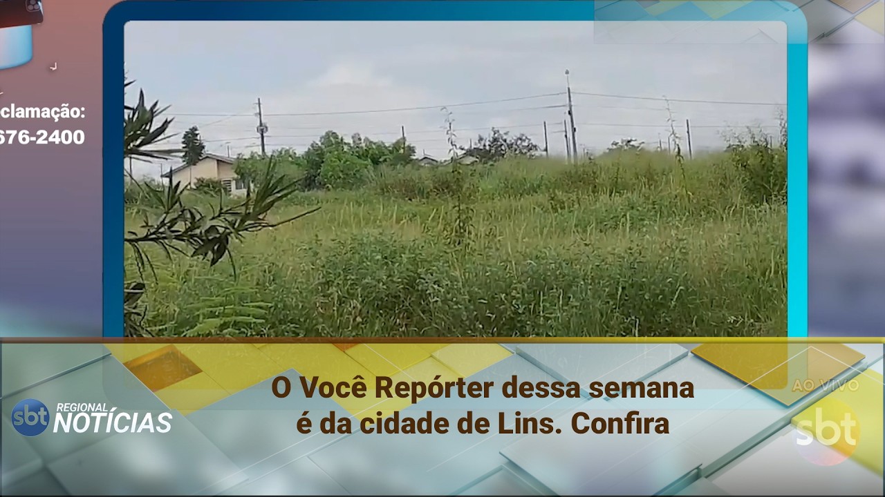 Você Repórter (25/02/2026)