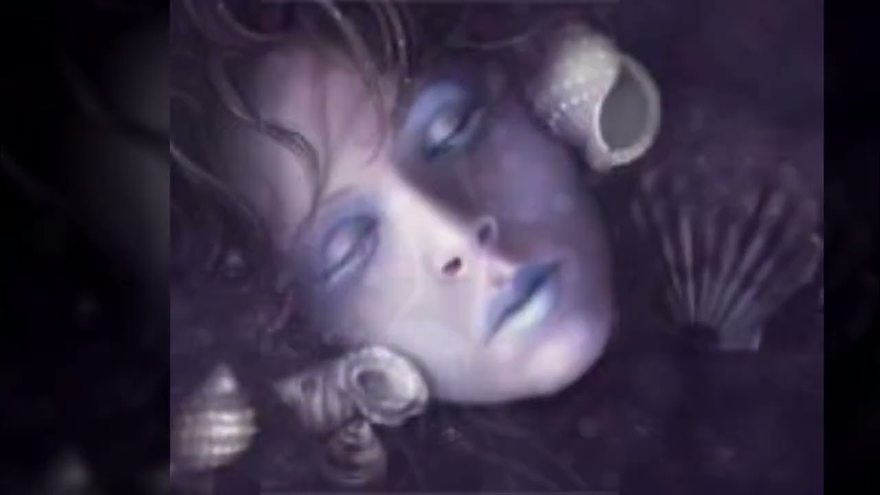 The Silence of Words 말의 침묵