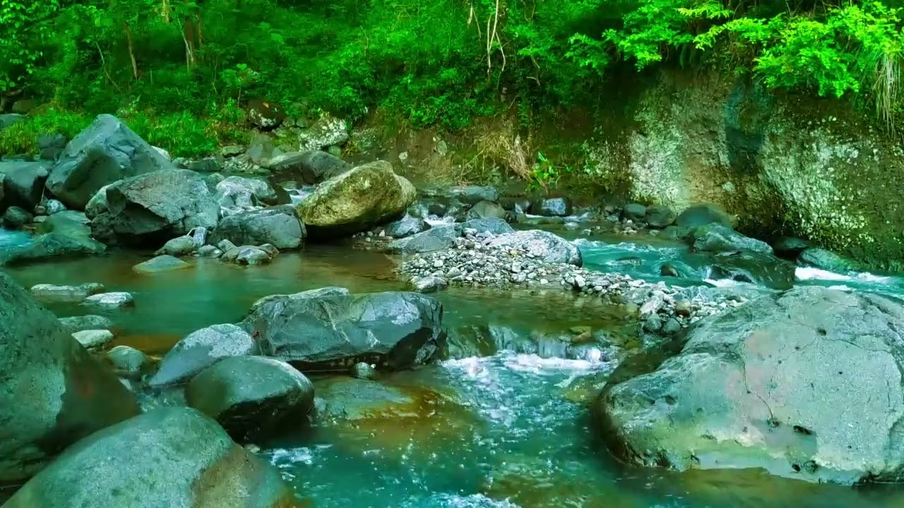 Sleep Soundly with Peaceful River Melody and Calm Water Sounds in Peaceful Forest